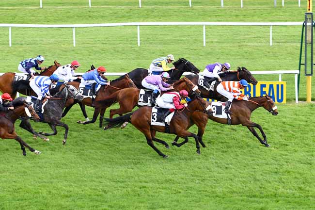 Photo d'arrivée de la course pmu PRIX DE LA FORET DE FONTAINEBLEAU à FONTAINEBLEAU le Jeudi 18 mai 2017