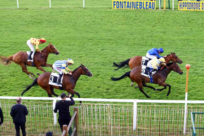 Photo d'arrivée de la course pmu PRIX GEORGES DERCOURT à FONTAINEBLEAU le Jeudi 18 mai 2017