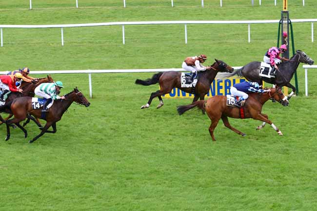 Photo d'arrivée de la course pmu PRIX DE LA FORET DES TROIS PIGNONS à FONTAINEBLEAU le Jeudi 18 mai 2017