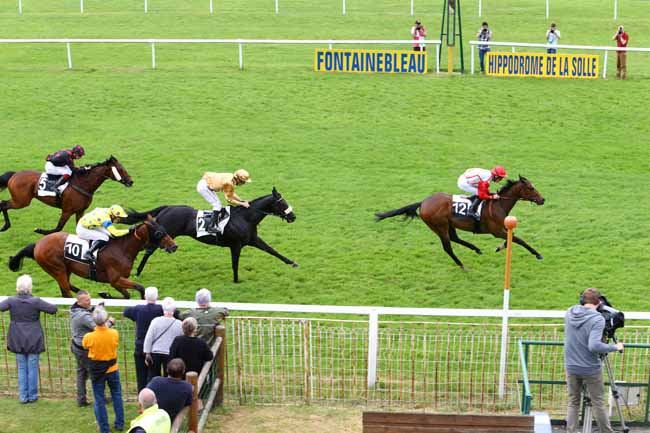 Photo d'arrivée de la course pmu PRIX DES PINS LARICIO à FONTAINEBLEAU le Jeudi 18 mai 2017