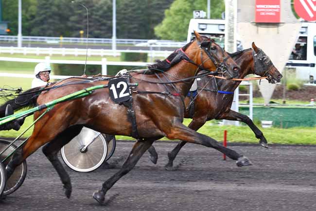 Photo d'arrivée de la course pmu PRIX JACQUES DE SAINT-SAUVEUR à PARIS-VINCENNES le Vendredi 19 mai 2017