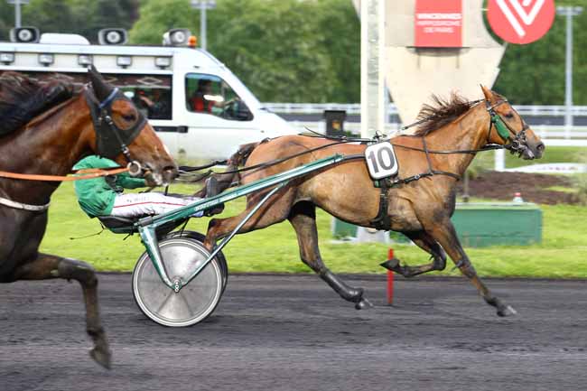 Photo d'arrivée de la course pmu PRIX DEJANIRA à PARIS-VINCENNES le Vendredi 19 mai 2017