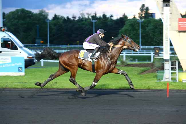 Photo d'arrivée de la course pmu PRIX EMILE NEVEUX à PARIS-VINCENNES le Vendredi 19 mai 2017