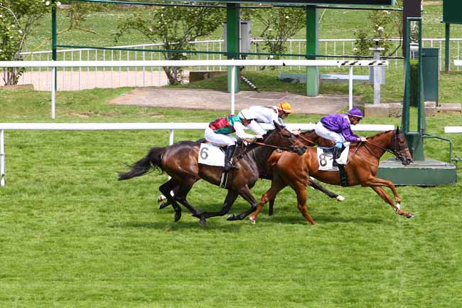 Photo d'arrivée de la course pmu PRIX DE LA FLANDRIE à SAINT-CLOUD le Vendredi 19 mai 2017