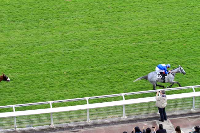 Photo d'arrivée de la course pmu PRIX DU NIVERNAIS à AUTEUIL le Samedi 20 mai 2017