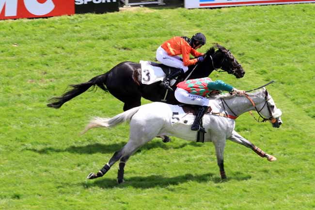 Photo d'arrivée de la course pmu PRIX ARISTOTE à AUTEUIL le Samedi 20 mai 2017