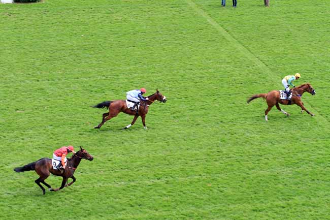 Photo d'arrivée de la course pmu PRIX LE GUALES DE MEZAUBRAN à AUTEUIL le Samedi 20 mai 2017