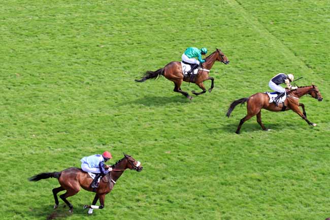 Photo d'arrivée de la course pmu PRIX LA BARKA à AUTEUIL le Samedi 20 mai 2017