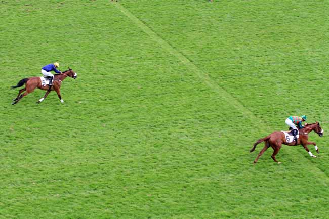 Photo d'arrivée de la course pmu PRIX QUESTARABAD à AUTEUIL le Samedi 20 mai 2017
