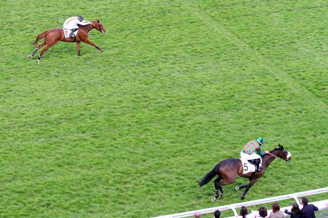 Photo d'arrivée de la course pmu PRIX PRETENTAINE à AUTEUIL le Samedi 20 mai 2017