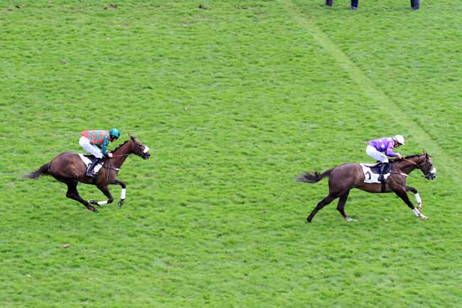 Photo d'arrivée de la course pmu PRIX STANLEY à AUTEUIL le Dimanche 21 mai 2017
