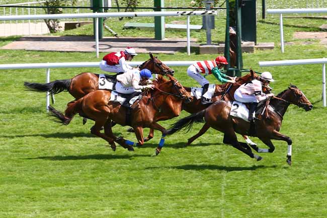 Photo d'arrivée de la course pmu PRIX DE MALMAISON à SAINT-CLOUD le Mardi 23 mai 2017