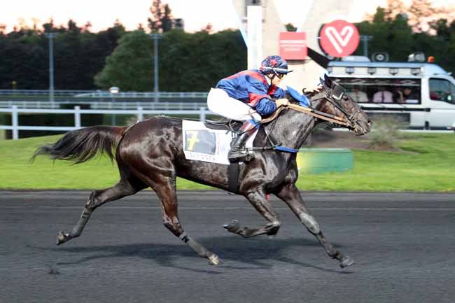Photo d'arrivée de la course pmu PRIX HARMONIA à PARIS-VINCENNES le Mardi 23 mai 2017