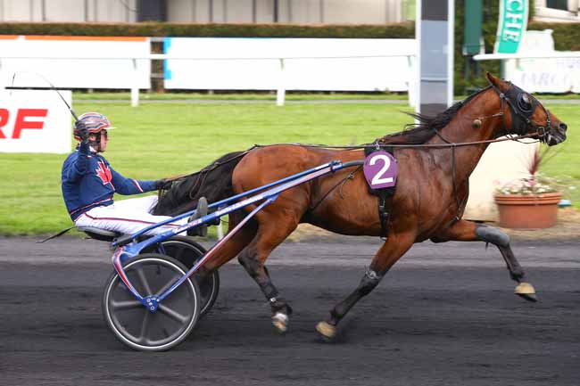 Photo d'arrivée de la course pmu GRAND NATIONAL DES AMATEURS à LE CROISE-LAROCHE le Mercredi 24 mai 2017