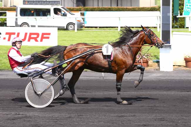Photo d'arrivée de la course pmu PRIX PMU LE CARRE DAS LILLE à LE CROISE-LAROCHE le Mercredi 24 mai 2017