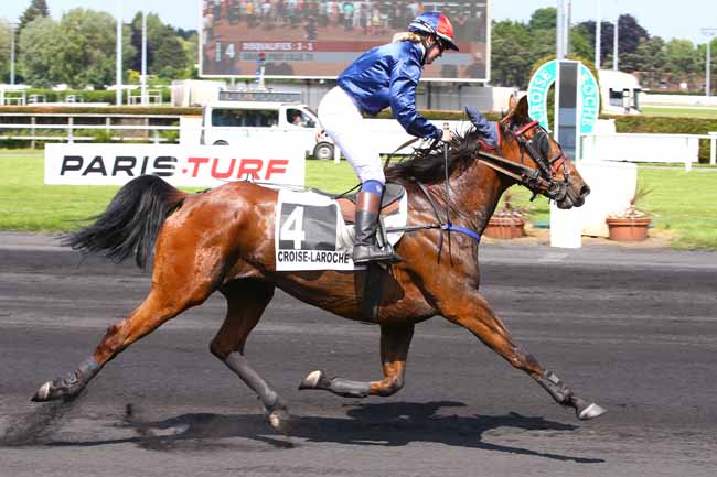 Photo d'arrivée de la course pmu GRAND PRIX LILLE TV à LE CROISE-LAROCHE le Mercredi 24 mai 2017