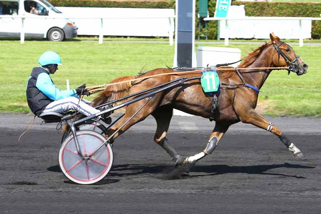 Photo d'arrivée de la course pmu PRIX RENT A CAR - LA MADELEINE à LE CROISE-LAROCHE le Mercredi 24 mai 2017