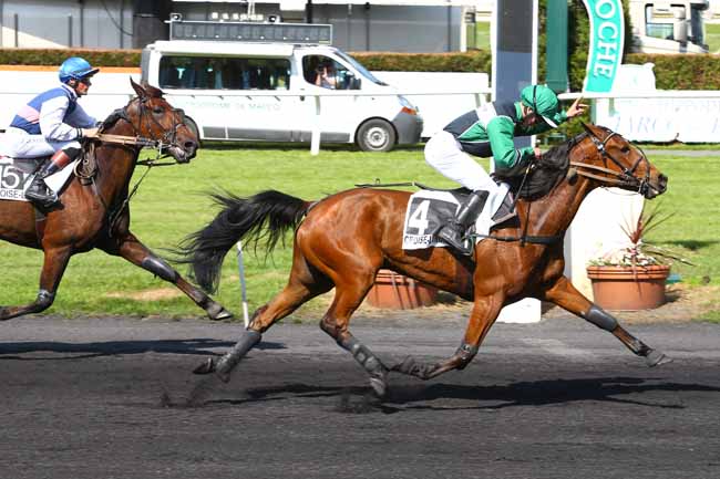 Photo d'arrivée de la course pmu PRIX PRINCE DU VERGER à LE CROISE-LAROCHE le Mercredi 24 mai 2017