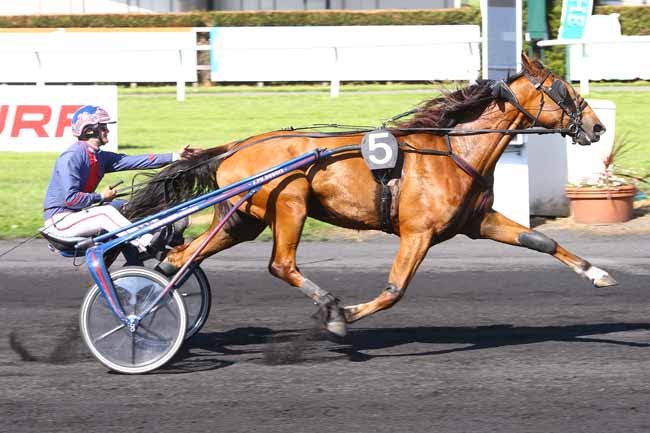 Photo d'arrivée de la course pmu PRIX O'SULLIVAN à LE CROISE-LAROCHE le Mercredi 24 mai 2017