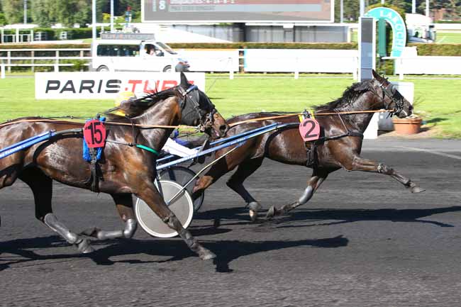 Photo d'arrivée de la course pmu PRIX EURO RINGEAT à LE CROISE-LAROCHE le Mercredi 24 mai 2017