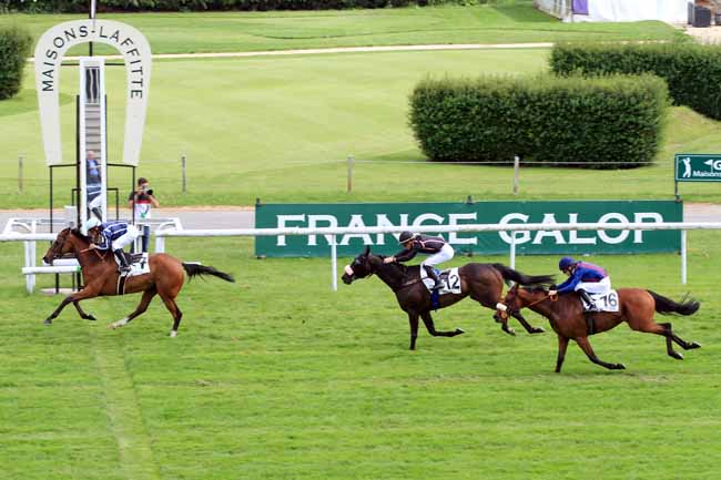 Photo d'arrivée de la course pmu PRIX DU QUARTIER SAINT-PAUL à MAISONS-LAFFITTE le Mercredi 24 mai 2017