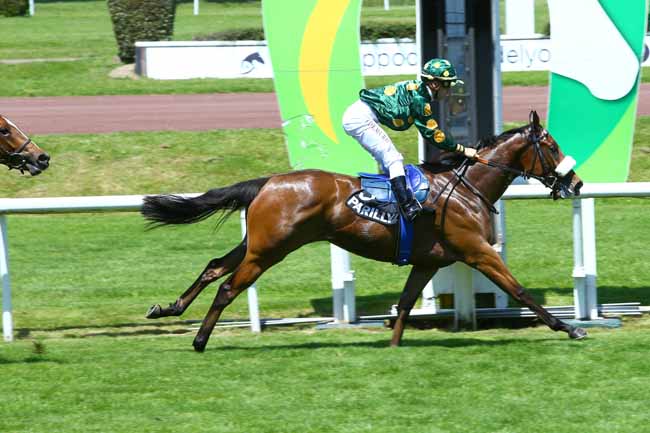 Photo d'arrivée de la course pmu PRIX DE ROUVRES à LYON-PARILLY le Jeudi 25 mai 2017