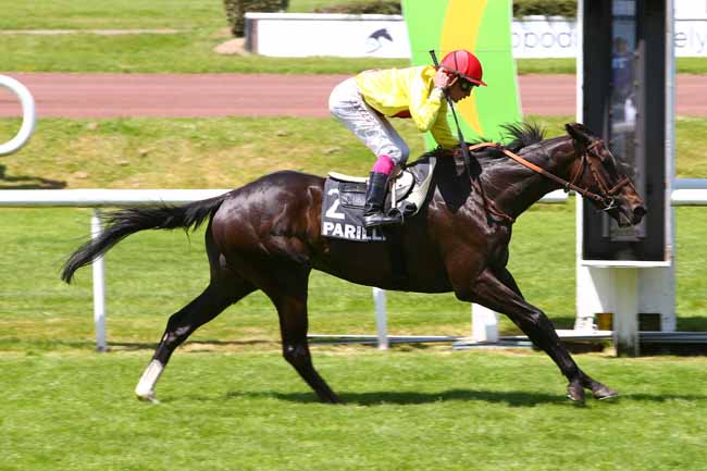 Photo d'arrivée de la course pmu PRIX DE MONTPLAISIR à LYON-PARILLY le Jeudi 25 mai 2017