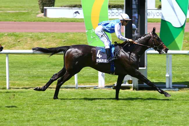 Photo d'arrivée de la course pmu COUPE DES TROIS ANS à LYON-PARILLY le Jeudi 25 mai 2017
