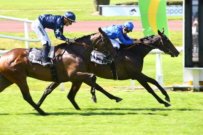 Photo d'arrivée de la course pmu PRIX ALFRED AUDRY à LYON-PARILLY le Jeudi 25 mai 2017