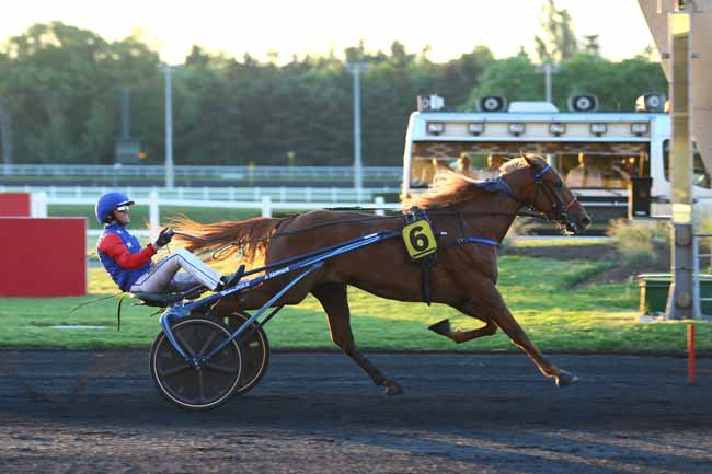 Photo d'arrivée de la course pmu PRIX CONSTELLATION à PARIS-VINCENNES le Vendredi 26 mai 2017