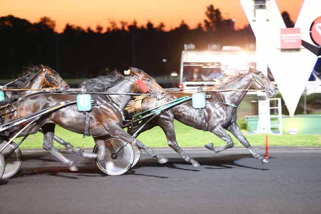 Photo d'arrivée de la course pmu PRIX CHALDAEA à PARIS-VINCENNES le Vendredi 26 mai 2017