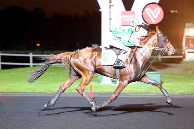 Photo d'arrivée de la course pmu PRIX AURIGA à PARIS-VINCENNES le Vendredi 26 mai 2017