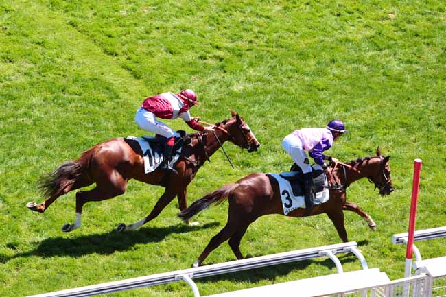 Photo d'arrivée de la course pmu PRIX GOPAL à AUTEUIL le Vendredi 26 mai 2017