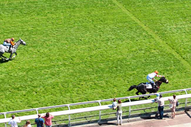 Photo d'arrivée de la course pmu PRIX D'IENA à AUTEUIL le Vendredi 26 mai 2017
