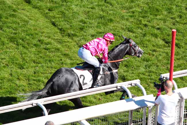 Photo d'arrivée de la course pmu PRIX DE LA MUETTE à AUTEUIL le Vendredi 26 mai 2017