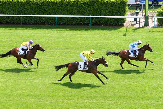 Photo d'arrivée de la course pmu PRIX DE LA REINE BLANCHE à CHANTILLY le Dimanche 28 mai 2017