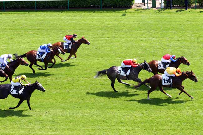 Photo d'arrivée de la course pmu PRIX DU MUSEE VIVANT DU CHEVAL à CHANTILLY le Dimanche 28 mai 2017