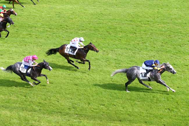Photo d'arrivée de la course pmu PRIX DU POTAGER DES PRINCES à CHANTILLY le Dimanche 28 mai 2017