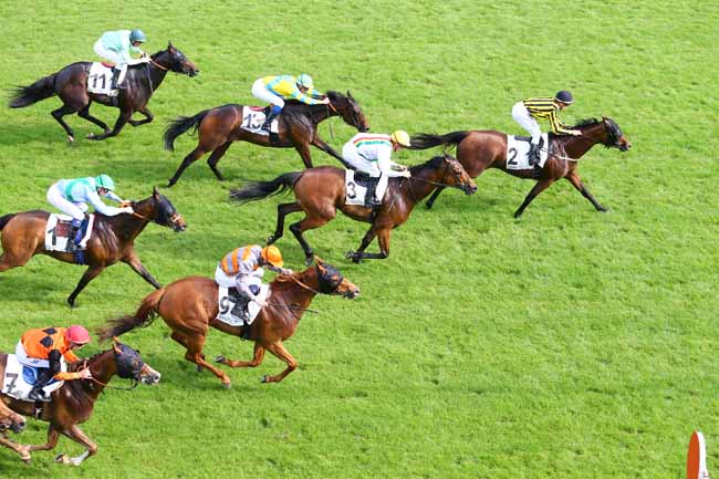 Photo d'arrivée de la course pmu PRIX DU PETIT PARC à CHANTILLY le Dimanche 28 mai 2017