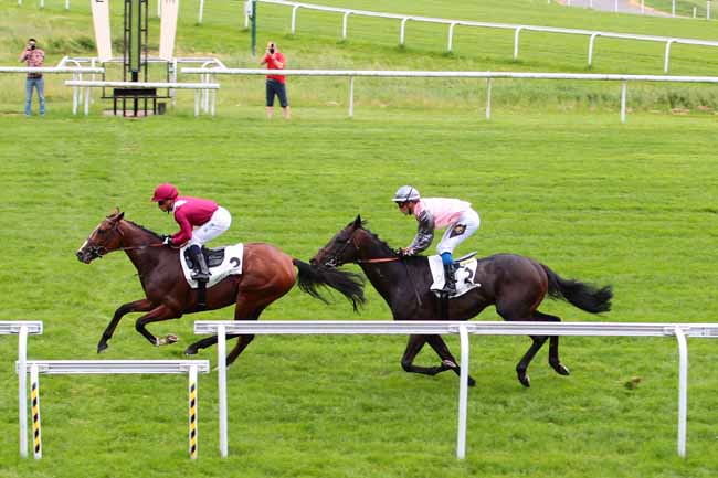 Photo d'arrivée de la course pmu PRIX MAELSTROM LAKE à MAISONS-LAFFITTE le Lundi 29 mai 2017