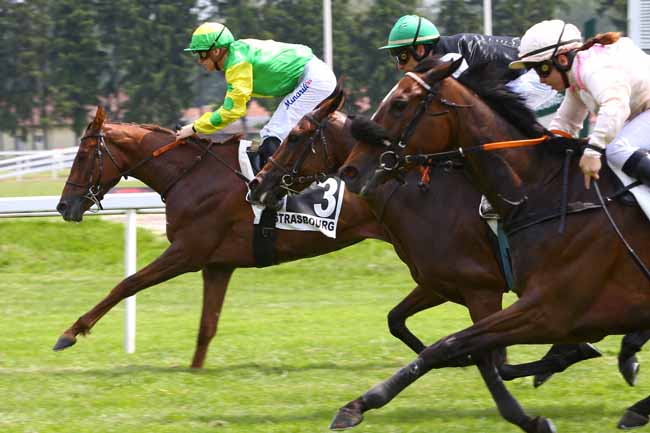 Photo d'arrivée de la course pmu PRIX BECK BOISSONS à STRASBOURG le Mardi 30 mai 2017