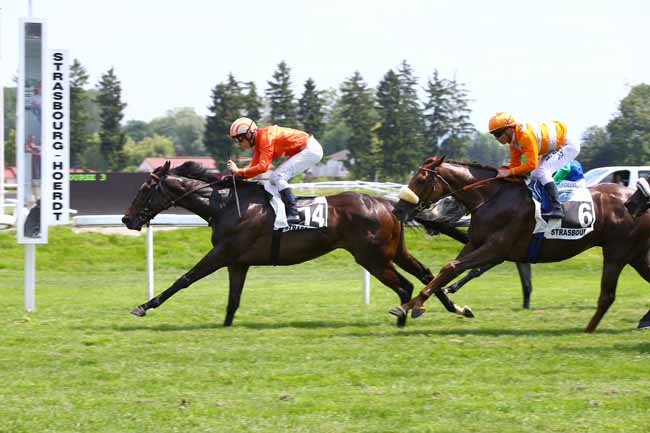 Photo d'arrivée de la course pmu PRIX DE LA MUSIQUE à STRASBOURG le Mardi 30 mai 2017