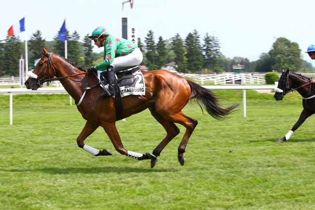 Photo d'arrivée de la course pmu PRIX ALSANETT à STRASBOURG le Mardi 30 mai 2017