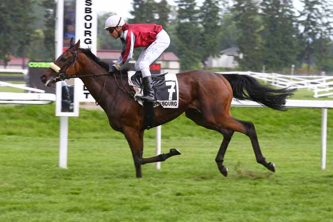Photo d'arrivée de la course pmu PRIX NATHANAELLE ARTU à STRASBOURG le Mardi 30 mai 2017
