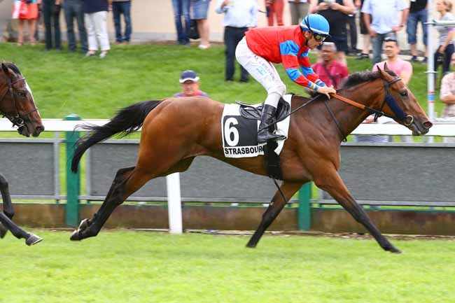 Photo d'arrivée de la course pmu PRIX DE LA VILLE DE STRASBOURG à STRASBOURG le Mardi 30 mai 2017