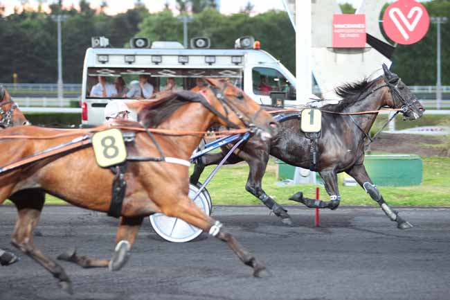 Photo d'arrivée de la course pmu PRIX IPHIGENIA à PARIS-VINCENNES le Mardi 30 mai 2017
