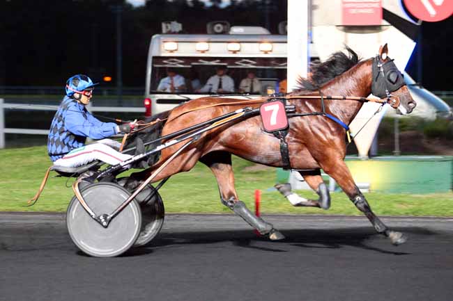 Photo d'arrivée de la course pmu PRIX TALITHA à PARIS-VINCENNES le Mardi 30 mai 2017