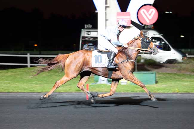 Photo d'arrivée de la course pmu PRIX BUDROSA à PARIS-VINCENNES le Mardi 30 mai 2017