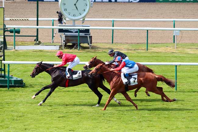 Photo d'arrivée de la course pmu PRIX DES PYRAMIDES à CHANTILLY le Mercredi 31 mai 2017