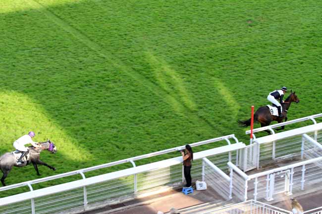 Photo d'arrivée de la course pmu PRIX GALAFRON à AUTEUIL le Mercredi 31 mai 2017